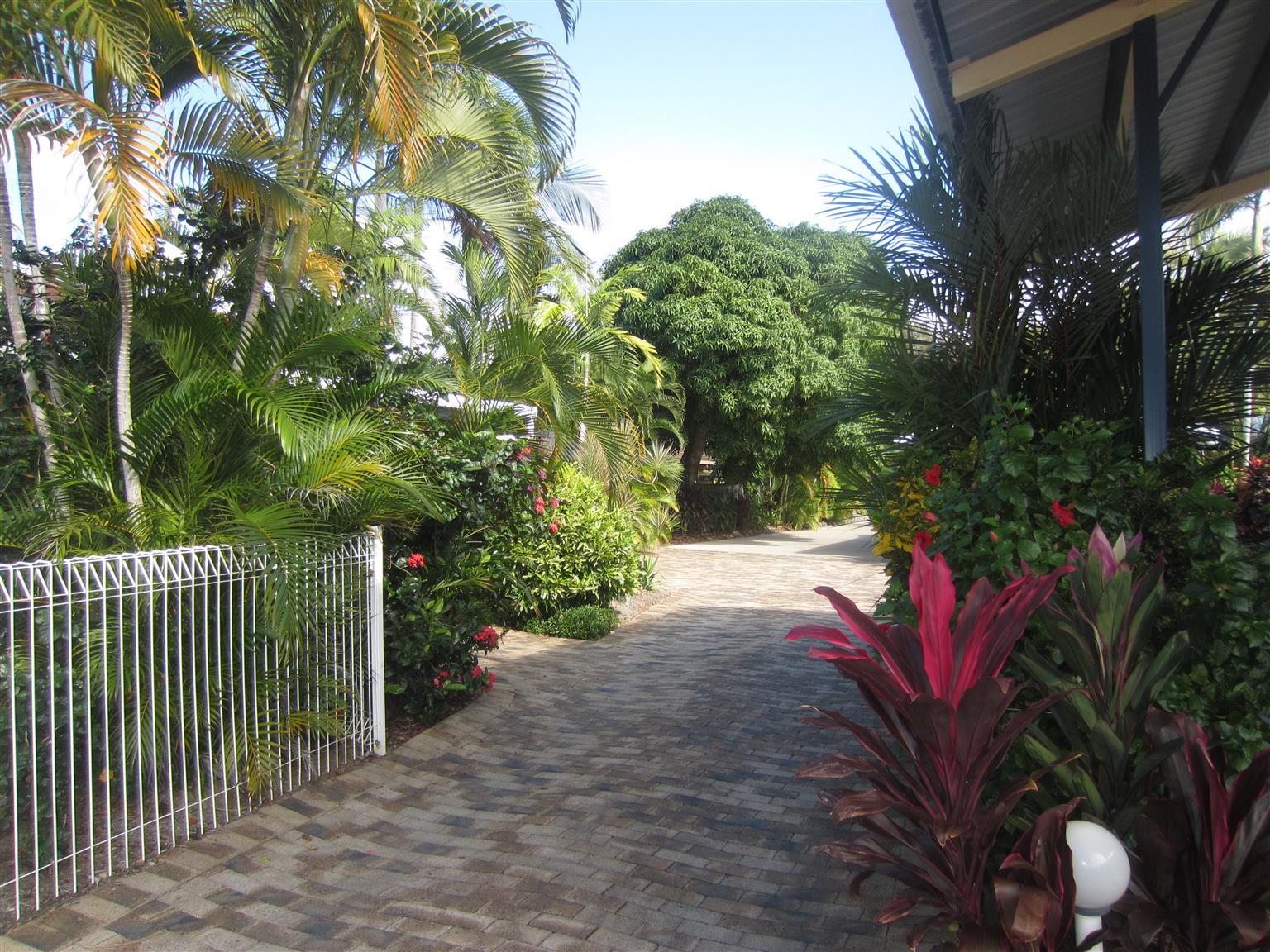 Lazy Lizard Motor Inn Port Douglas Ngoại thất bức ảnh