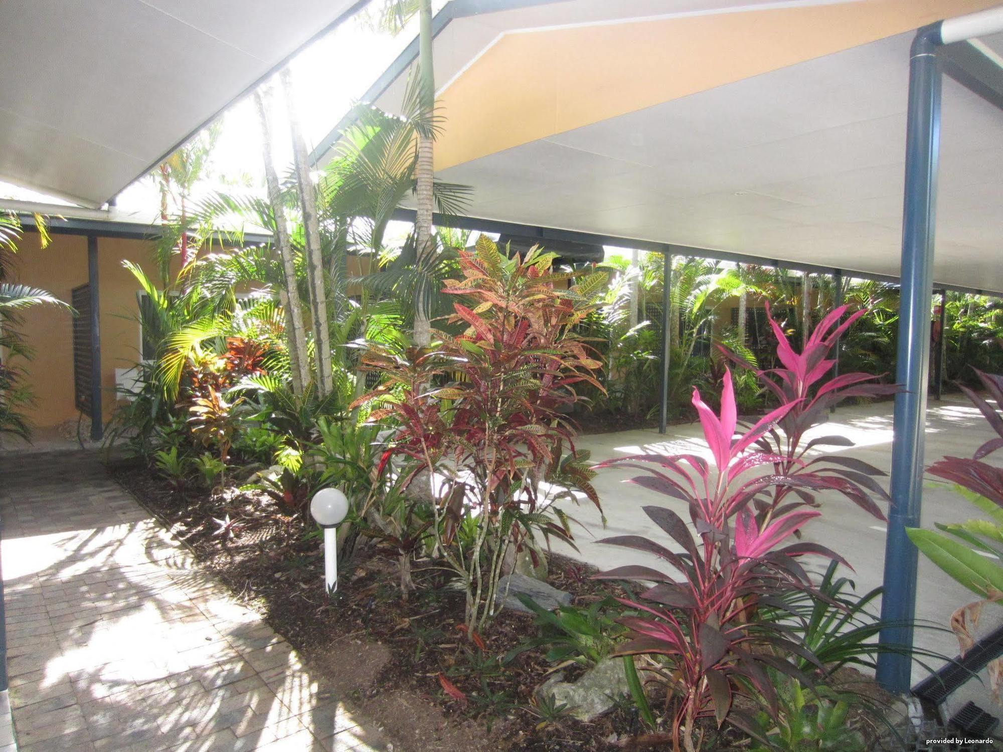 Lazy Lizard Motor Inn Port Douglas Ngoại thất bức ảnh